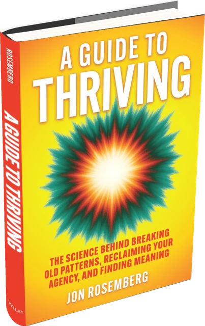 A Guide to Thriving by Jon Rosemberg, hardcover book